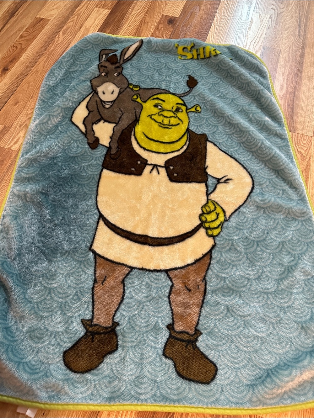 Shrek Plush Fleece Throw Blanket - Blue/Green
